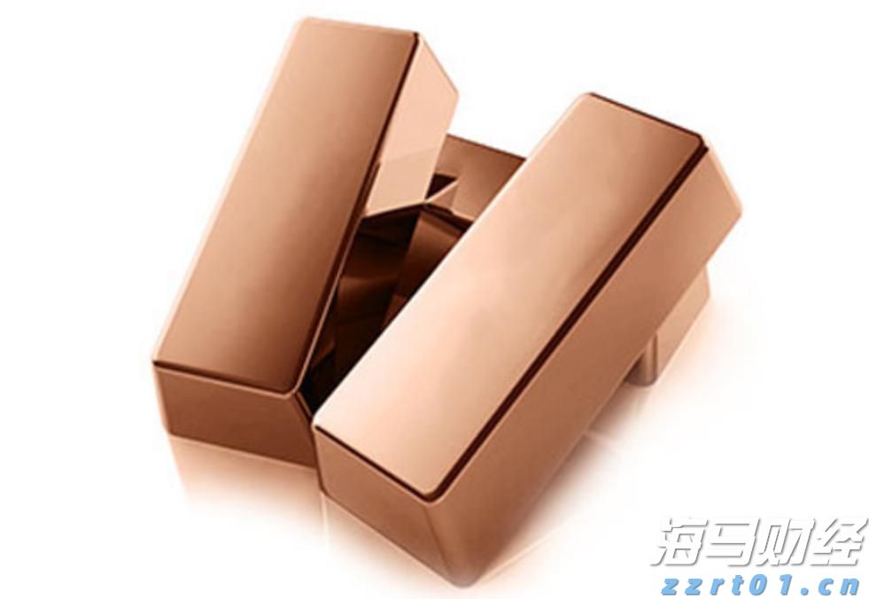 熊海峰教授走进广东塔牌集团股份有限公司开展2025院士专家入百企进百校(梅州行)活动